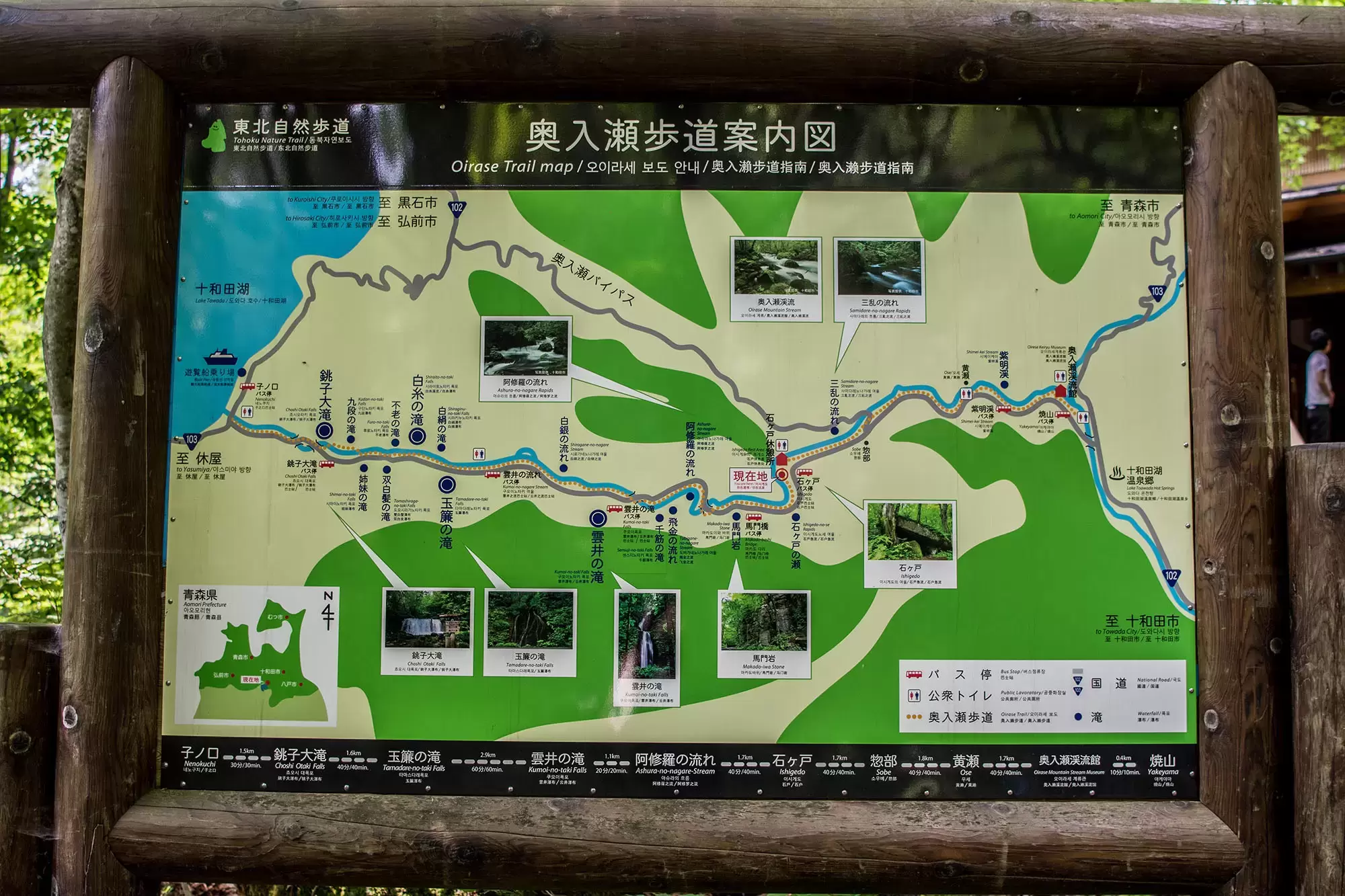 奧入瀨溪流