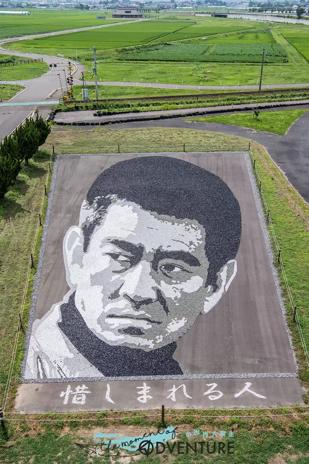 田舎館村田んぼアート藝術田園展