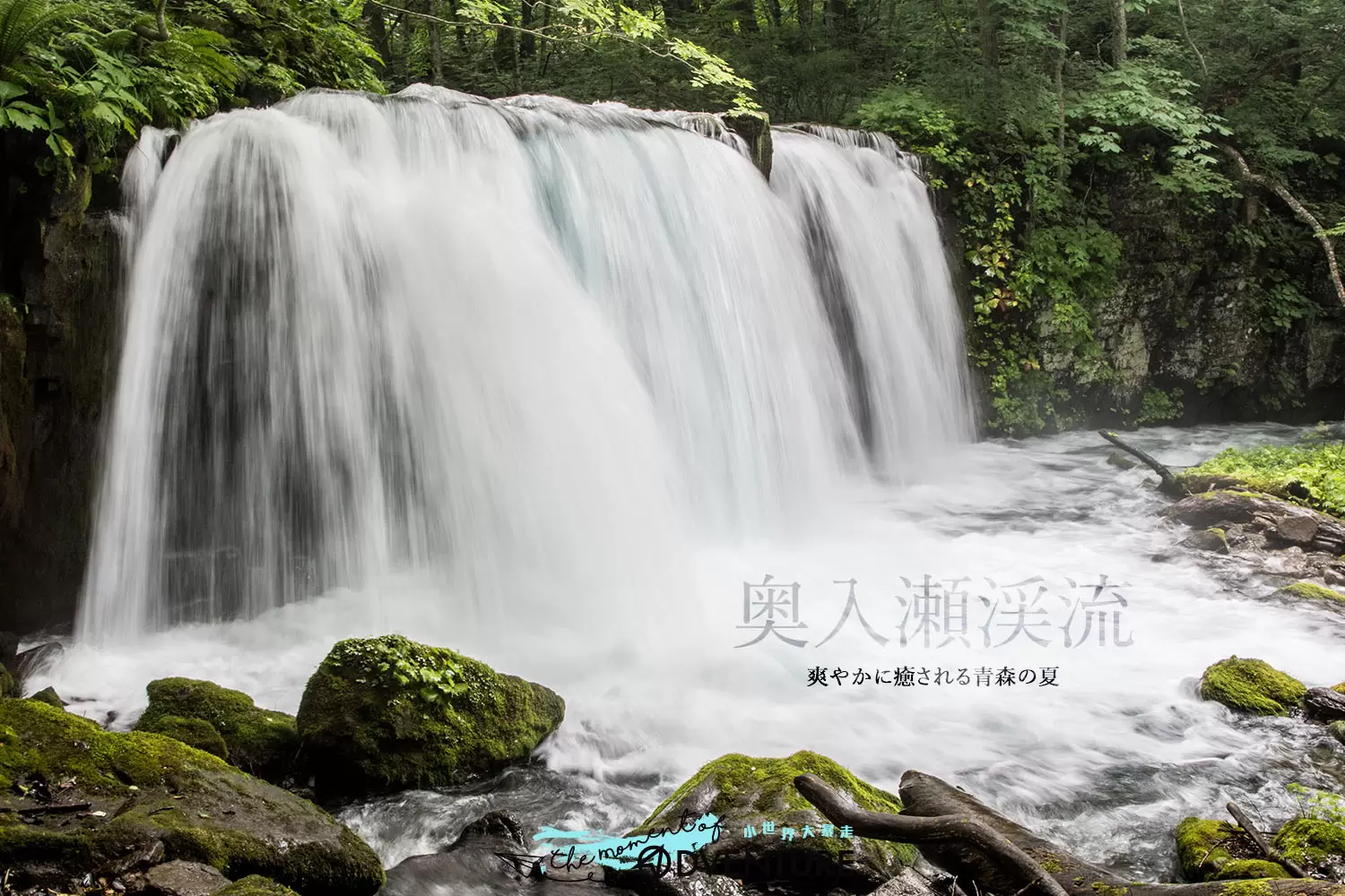 青森奧入瀨溪流 おいらせけいりゅう