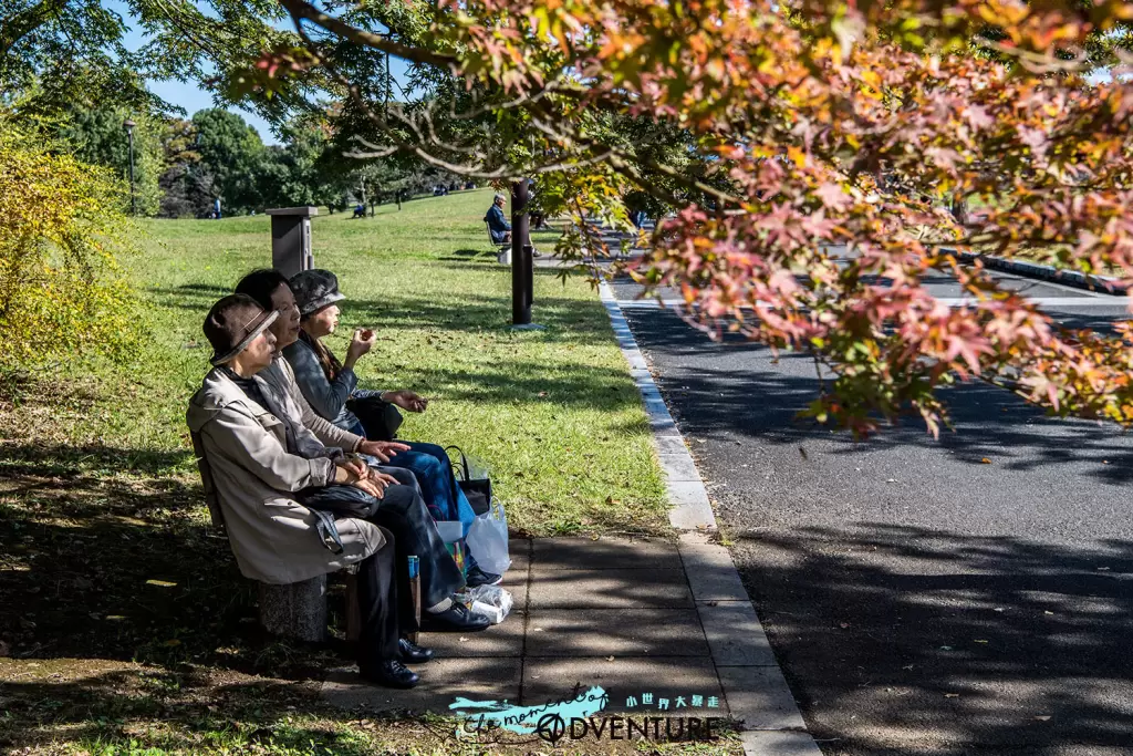 国営昭和記念公園