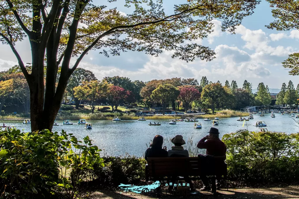 国営昭和記念公園