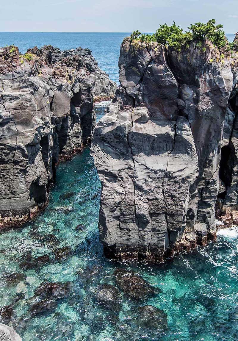 伊豆半島自駕遊