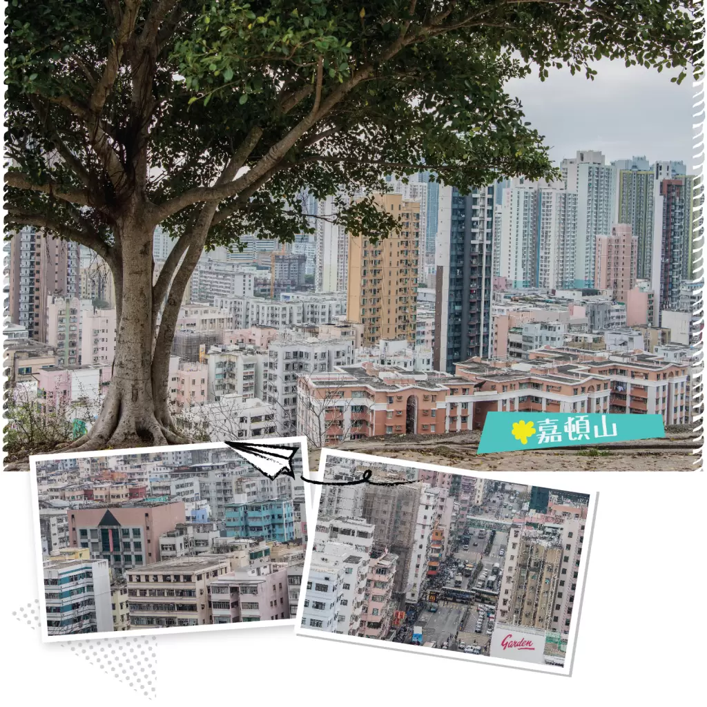 深水埗嘉頓山